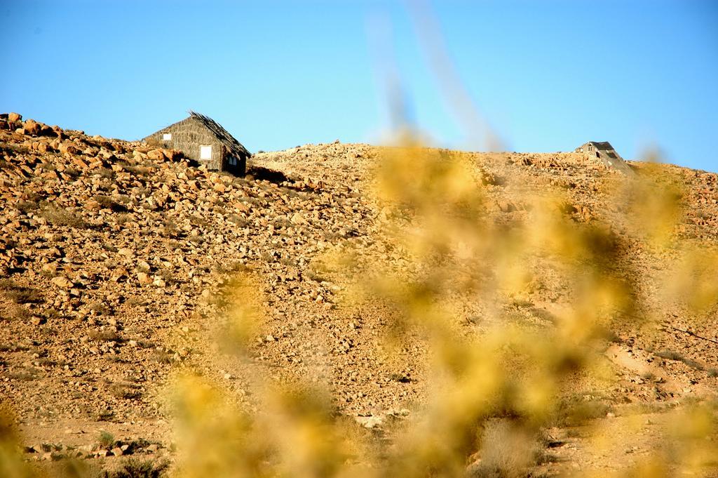 ميتزبي رامون Succah In The Desert المظهر الخارجي الصورة
